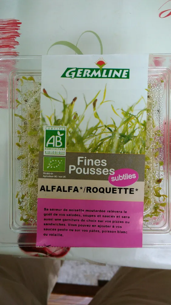 Mix De Graines Germées Bio Alfalfa, Roquette,