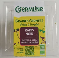 Graines germées de radis noir