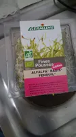 Fines pousses ALFALFA RADIS FENOUIL