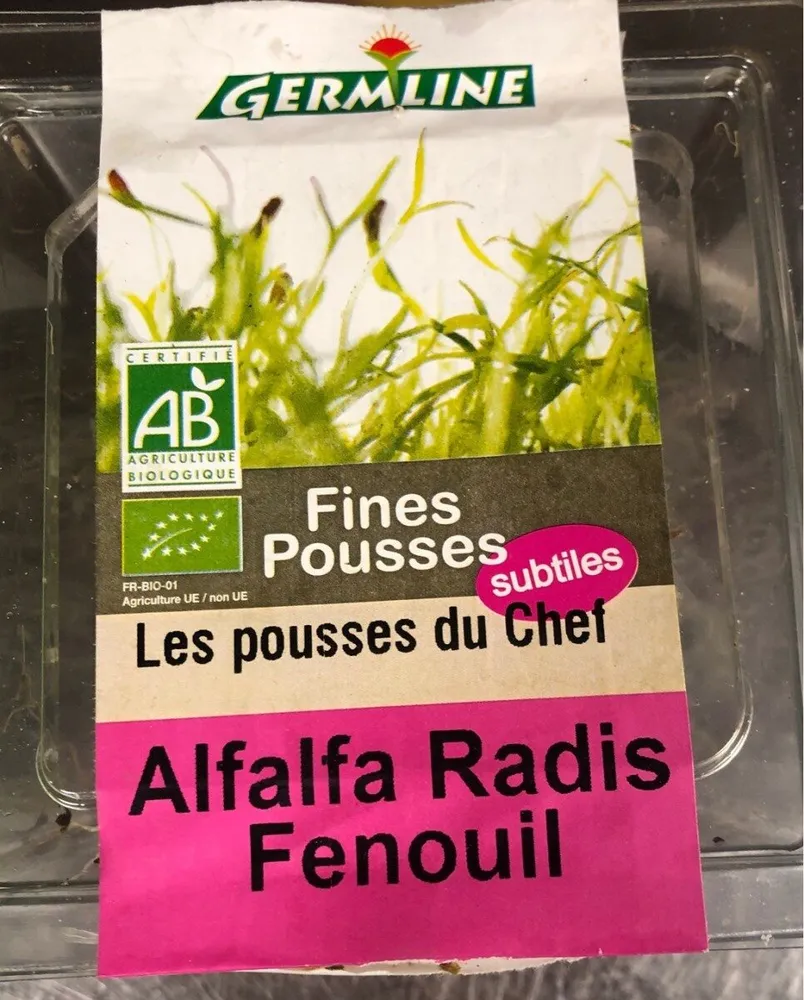 Alfalfa Radis Fenouil