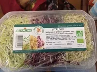 Vital'mix - Mélange de Graines Germées Bio