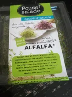 Alfalfa