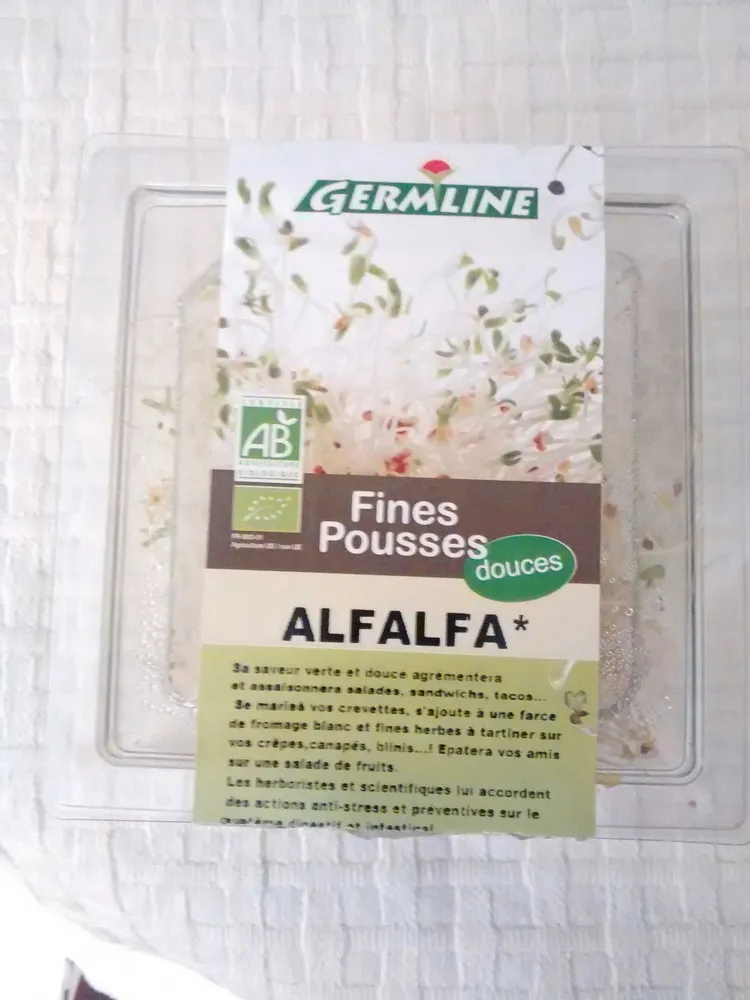 Alfalfa
