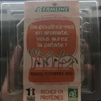 Radis pourpre bio