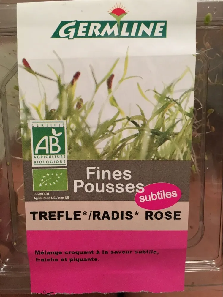 Graine Germée Trèfle Radis