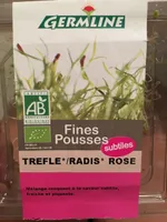 Graine Germée Trèfle Radis
