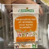 Radis pourpre bio