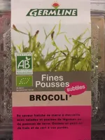 Graine Germee Brocolis