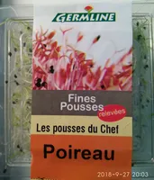 Fines pousses de poireau