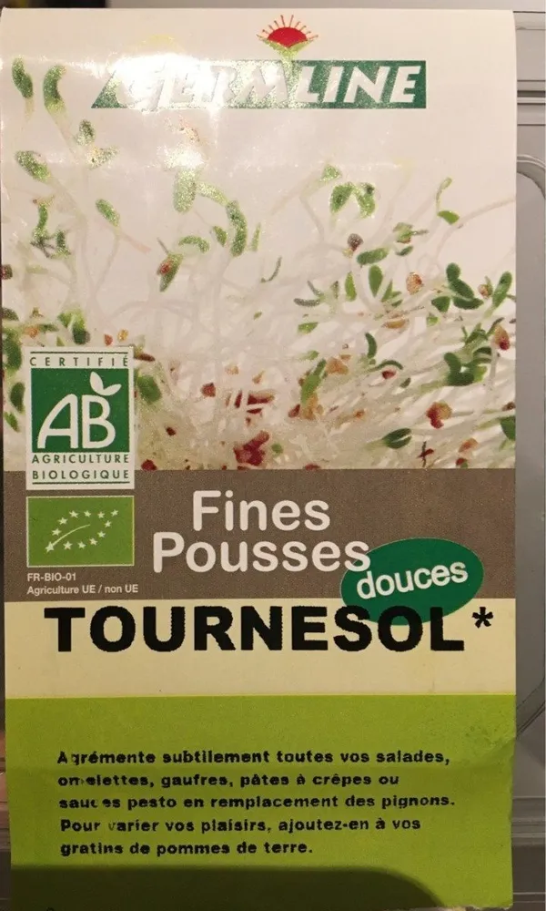 Graine Germée Tournesol