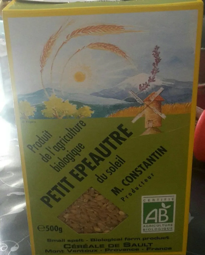 Petit épeautre du soleil