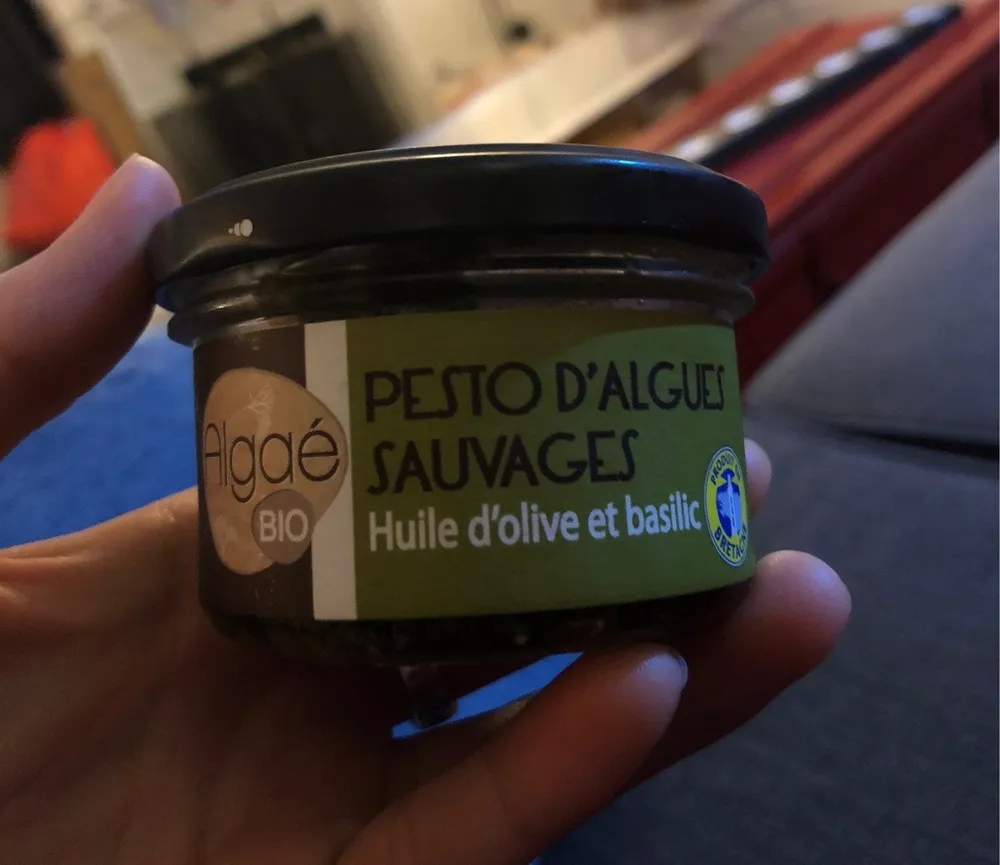 Pesto d'algues sauvages