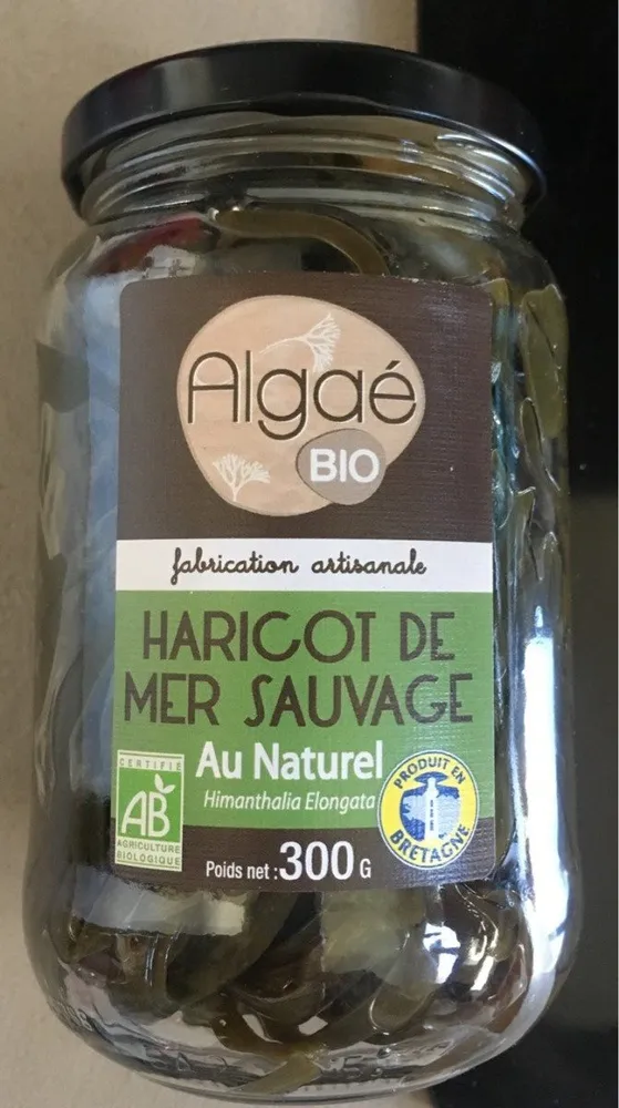 Haricot de mer sauvage