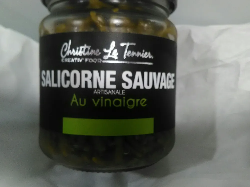Salicorne sauvage