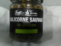 Salicorne sauvage