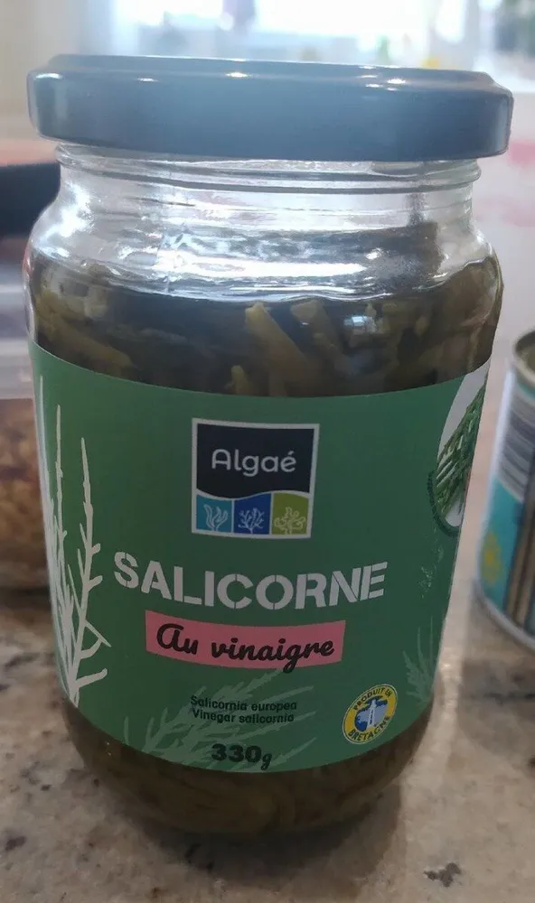 Salicorne