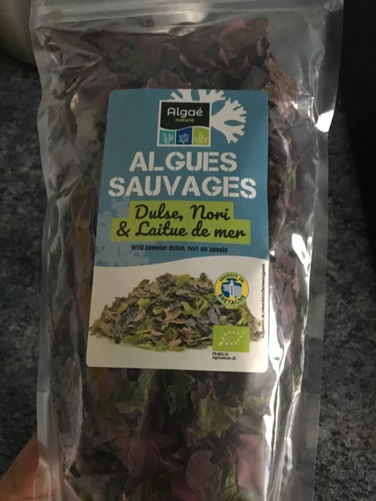 Algues sauvages