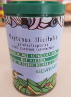 Maytenus llicifolia