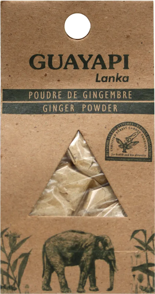 Gingembre poudre