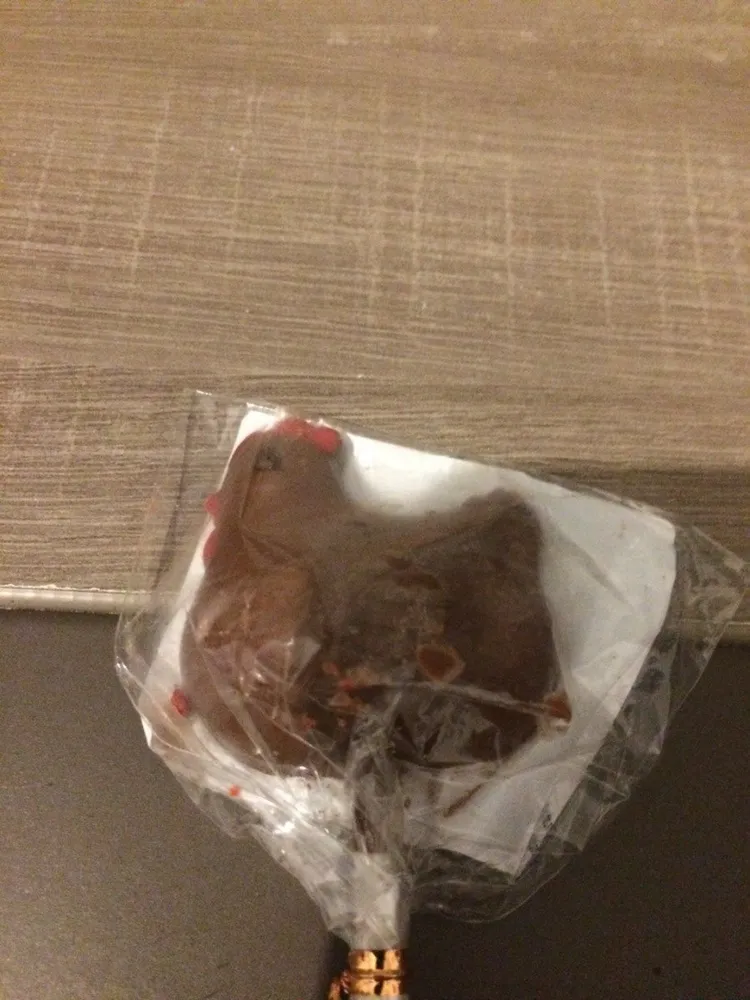 Sucette poule chocolat au lait decorer