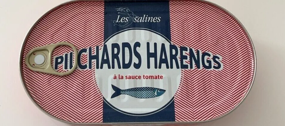 Pilchards harengs