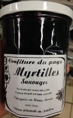 Myrtilles sauvages