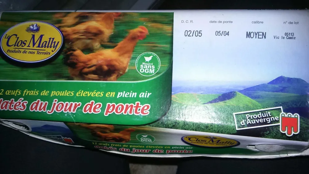 Oeufs frais de poules élevées en plein air