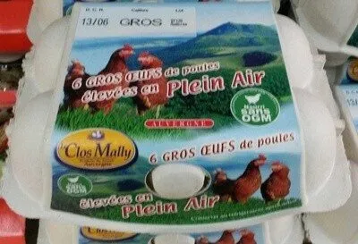 6 gros oeufs de poules élevées en plein air