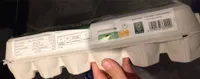 Œuf elever en pleine air