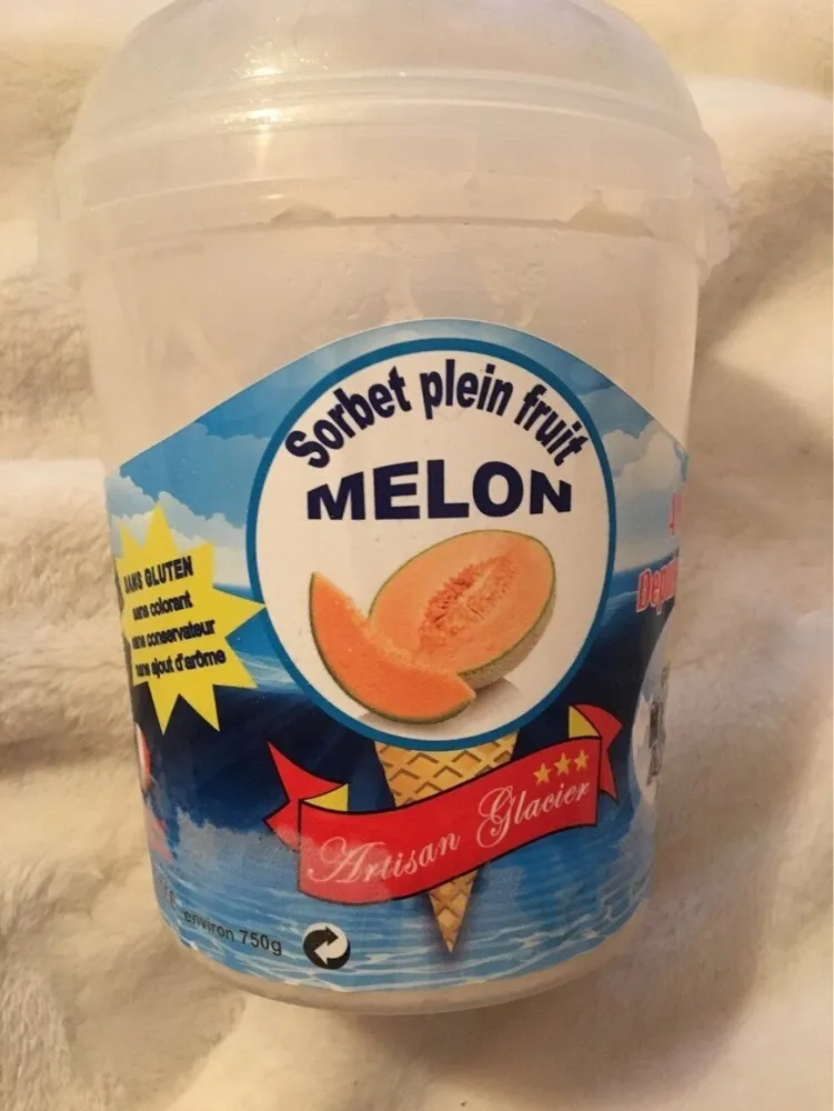 Sorbet plein fruit melon