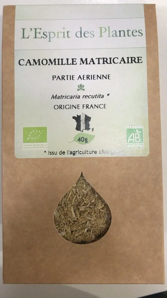 Camomille Matricaire