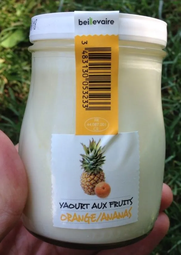Yaourt aux fruits Orange/Ananas