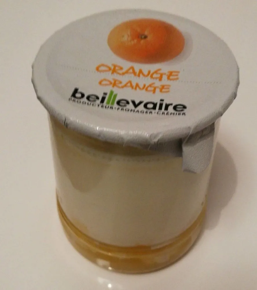 Yaourt nature sur fruits Orange