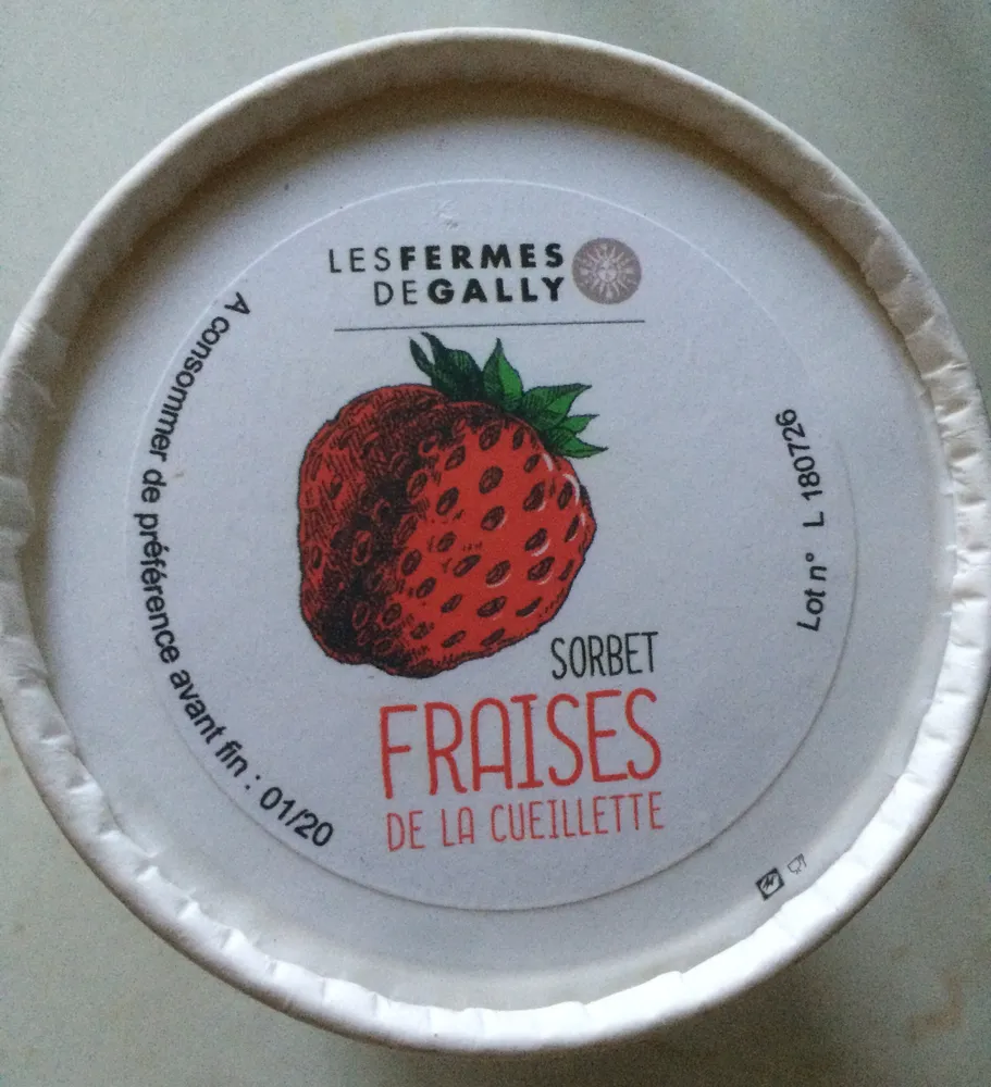 Sorbet fraises de la cueillette