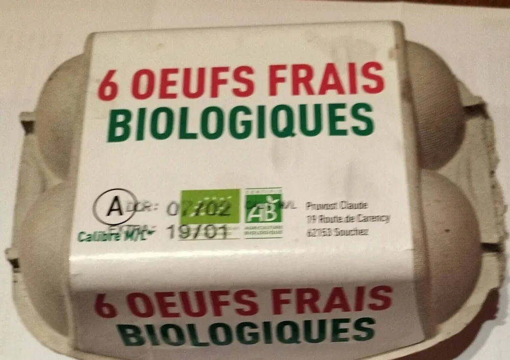 6 oeufs frais biologique