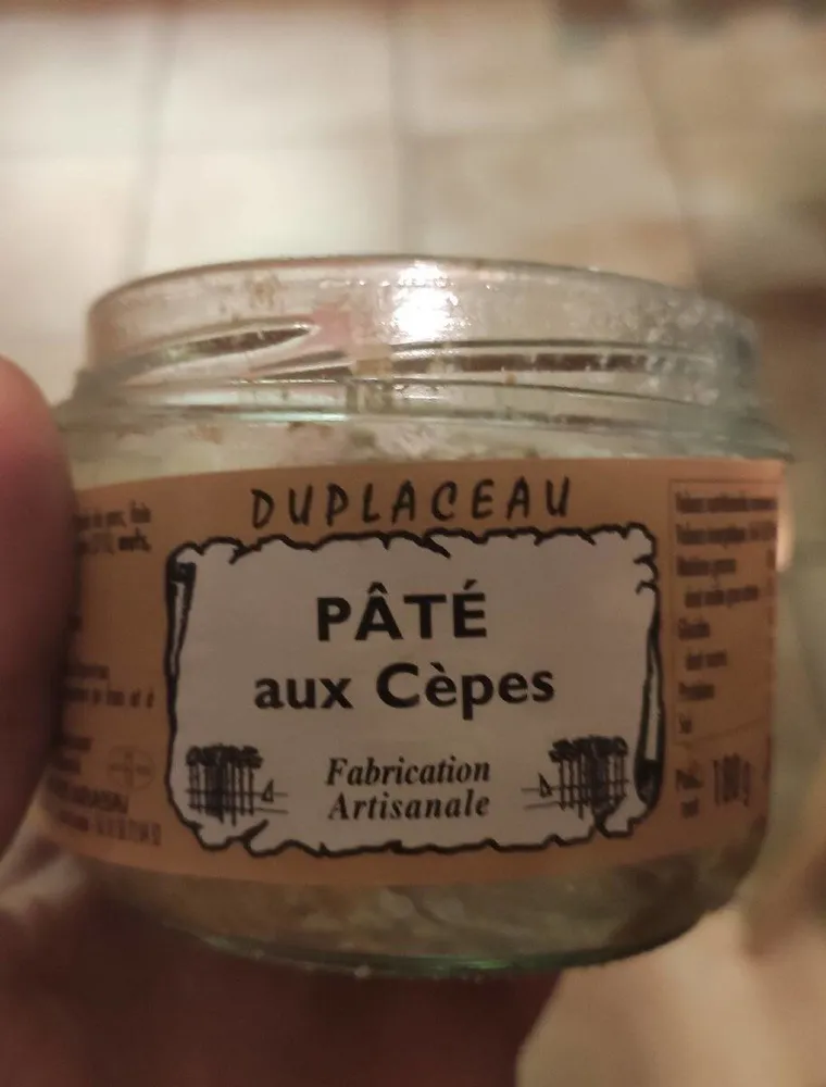 Pâté au cèpes