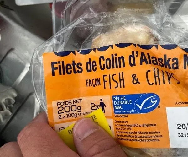 Filets de colin