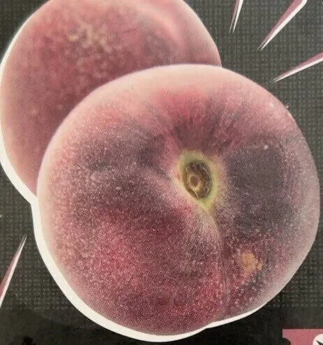 Peche de vigne sorbet aromatisé