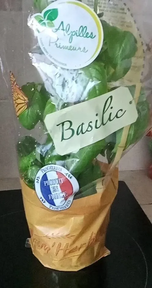 Basilique