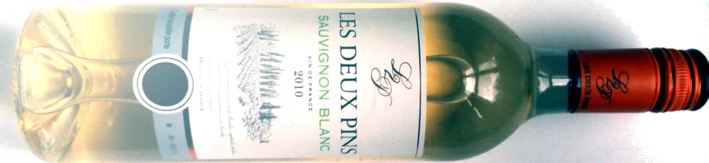 Les deux pins Sauvignon 2010