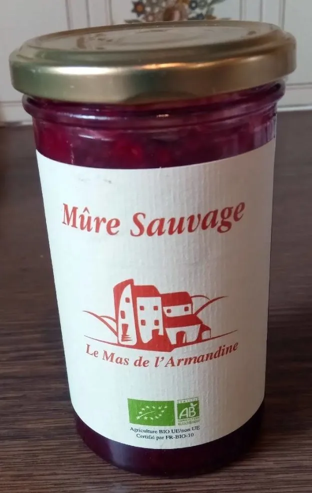 Mermelada mora salvajr