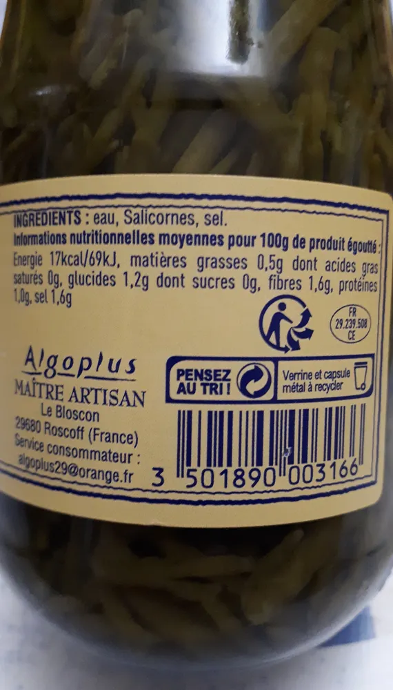 Salicorne au Naturel