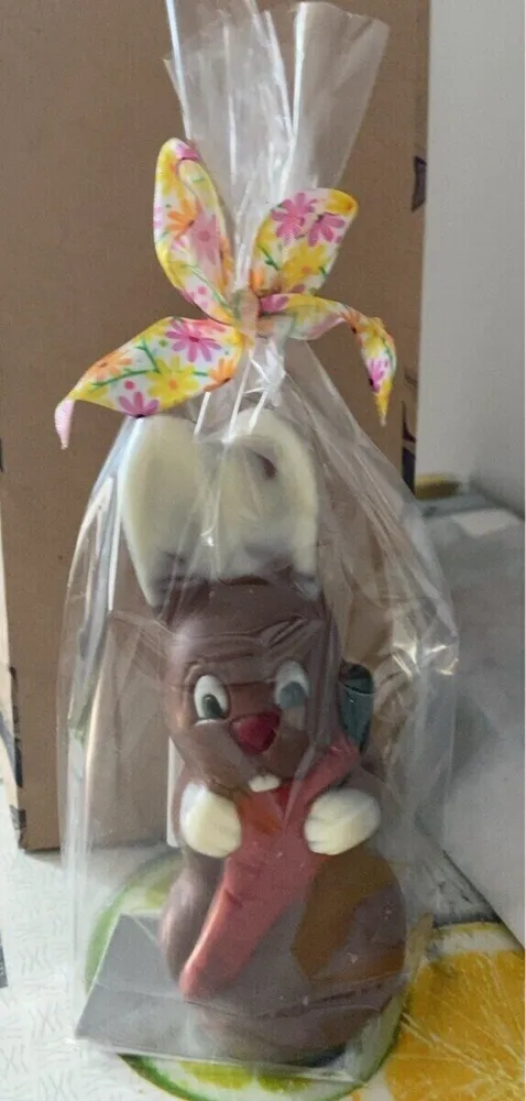 Lapin avec sa carotte chocolat au lait