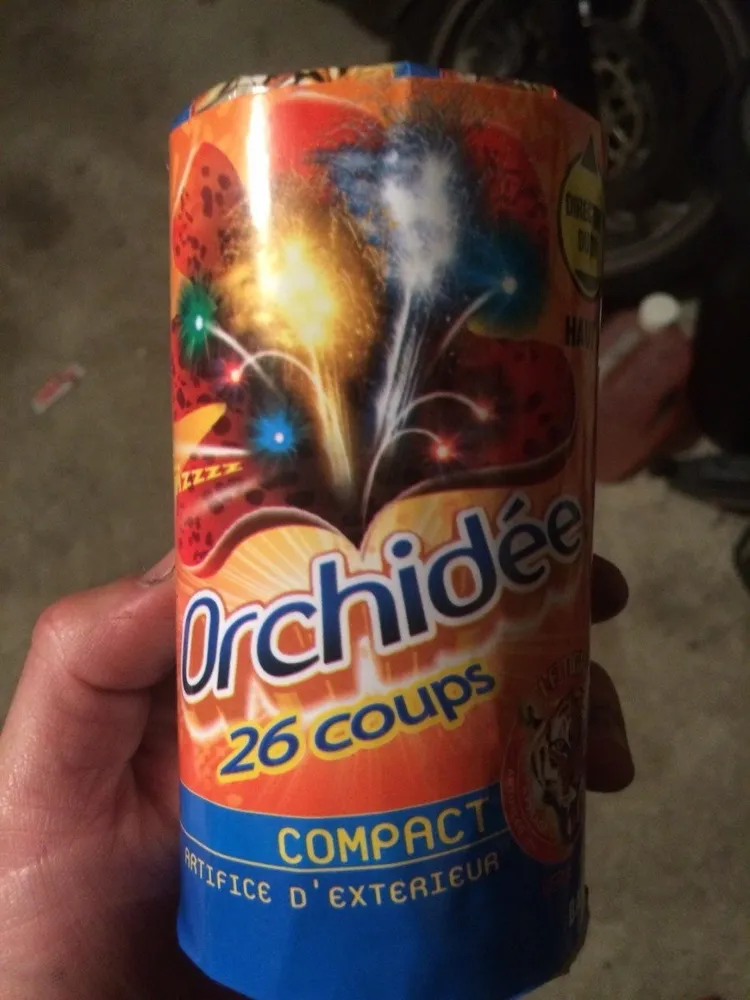 Orchidee 26 coup