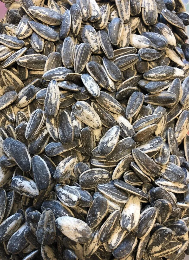 Graines de tournesol grillées salées