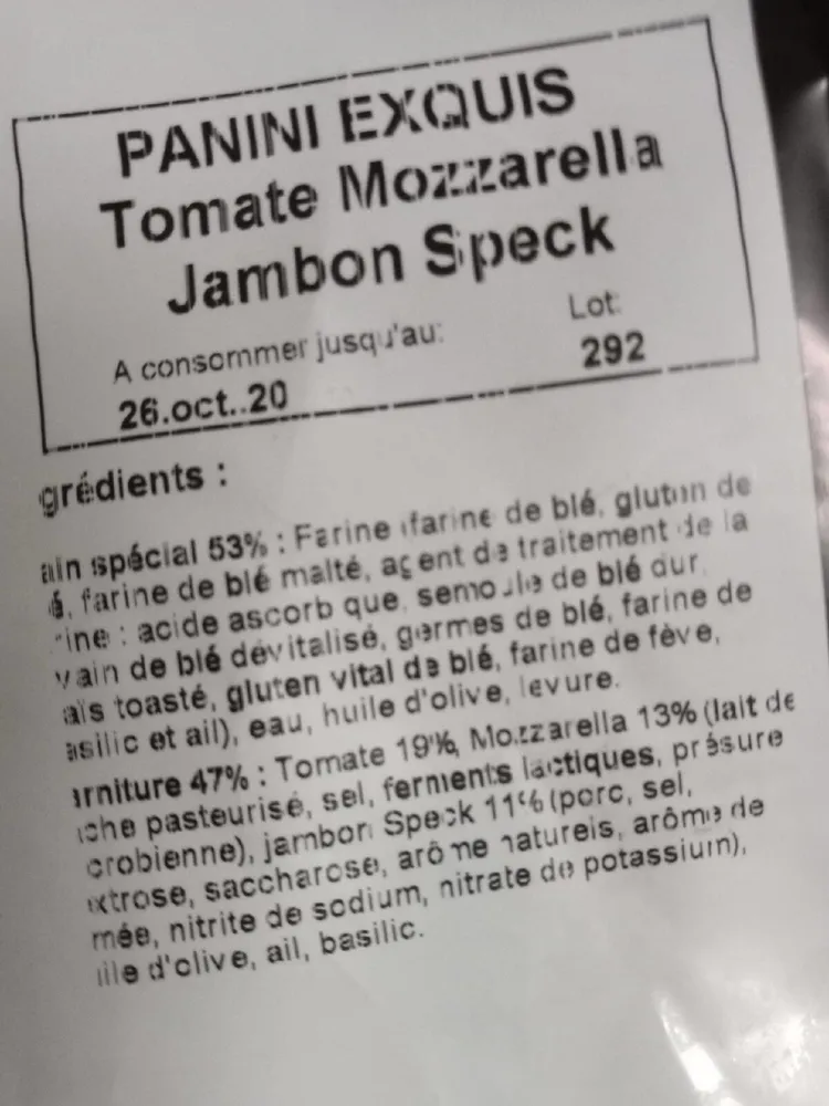 Panini exquis