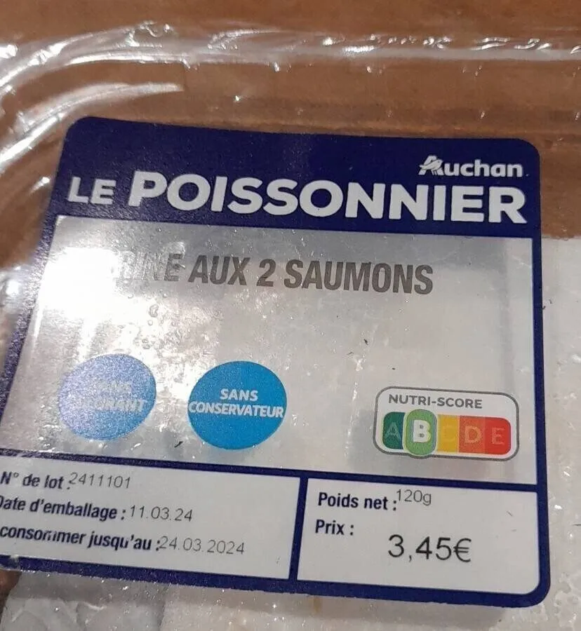 Terrine aux 2 saumons
