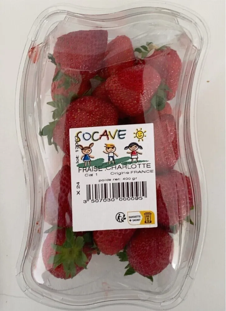 Fraise Charlotte