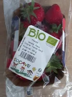 Fraises bio
