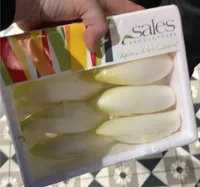Mini endives